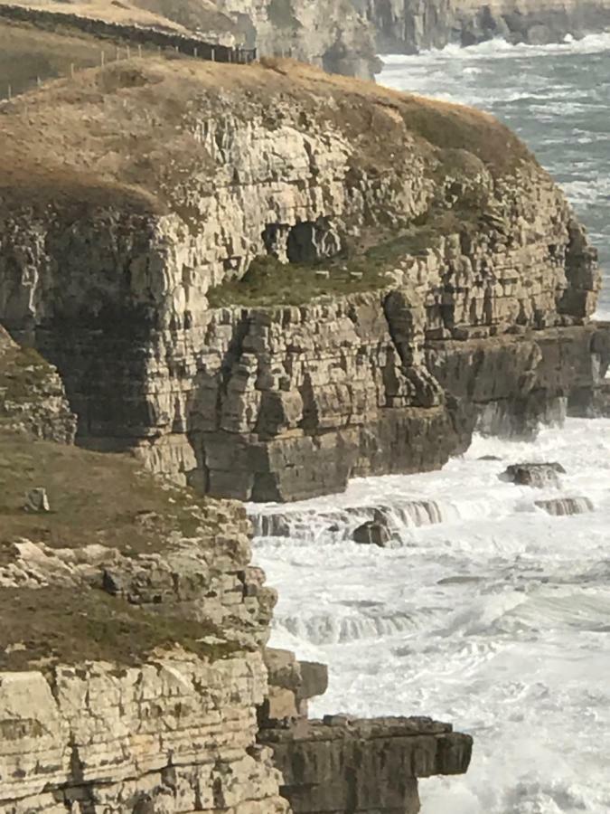 The Wing -Near To The Beaches And Bournemouth University Luaran gambar